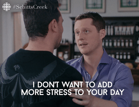 photo Simply The Best Schitt's Creek David To Patrick Episode david and patrick s cutest moments on