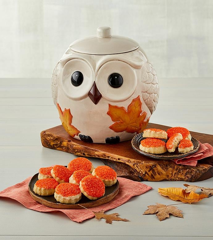 For a Quirky Gift: Fall Owl Cookie Jar With Cookies