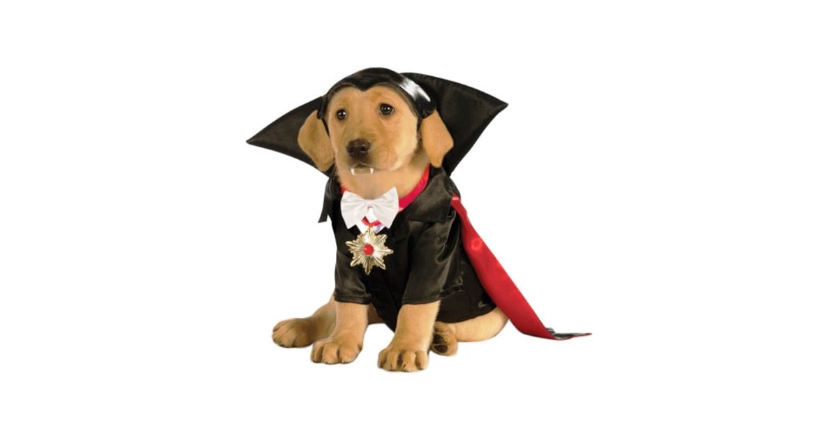 Dracula Dog Costume Best Costumes For Dogs POPSUGAR UK Pets Photo 8