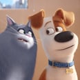 The Secret Life of Pets and Other Hits Coming to Netflix in April