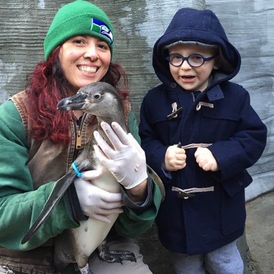 Chris Pratt and Anna Faris's Son Meets Eagle the Penguin