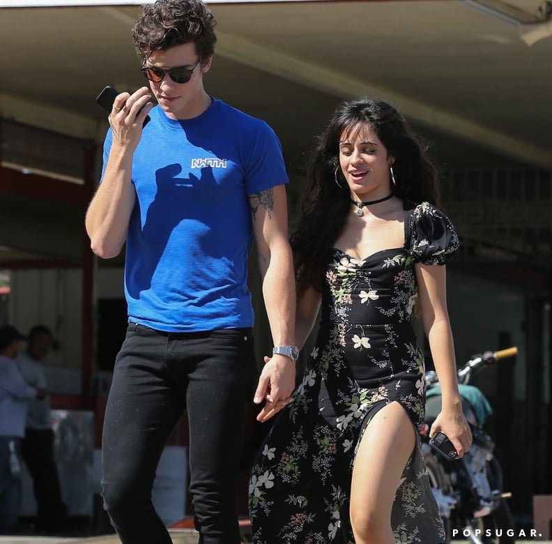 Camila Cabello Wearing a Reformation Dress With Shawn Mendes