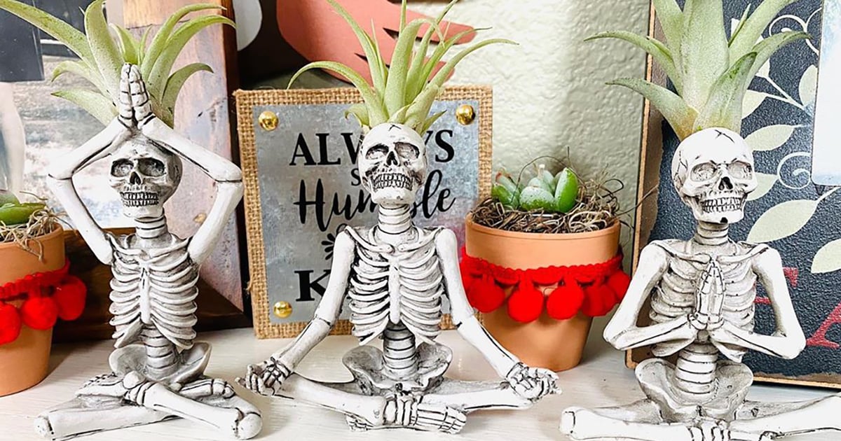 Trader Joe�s Yoga Skeleton Air Plants POPSUGAR Home