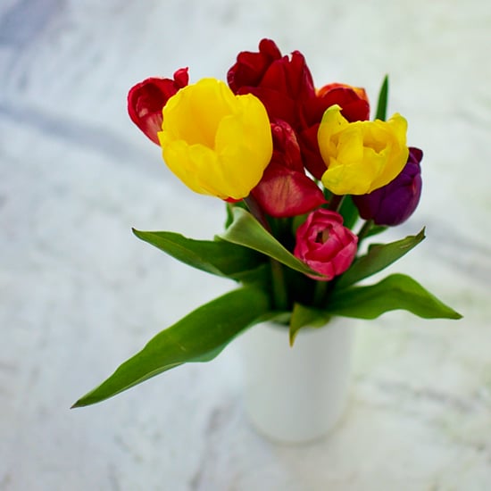 How to Keep Tulips From Drooping