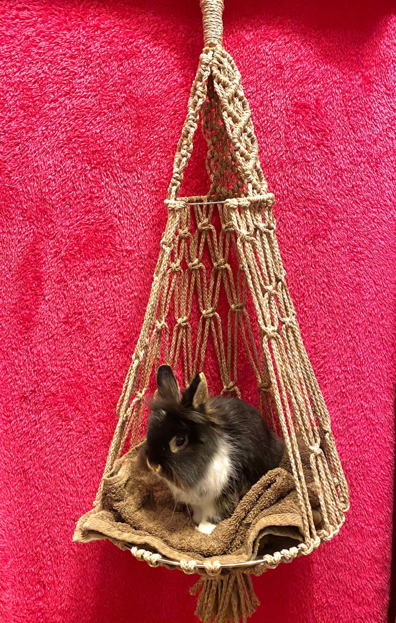 PlantBlessed Macrame Hanging Pet Bed