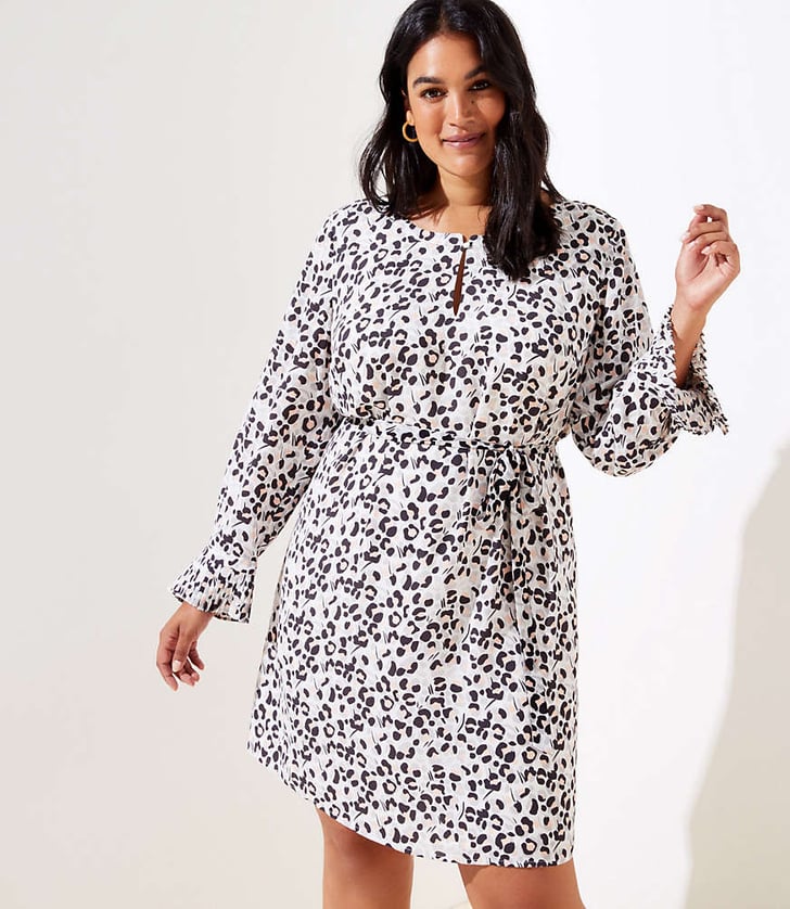 Loft plus on sale dresses