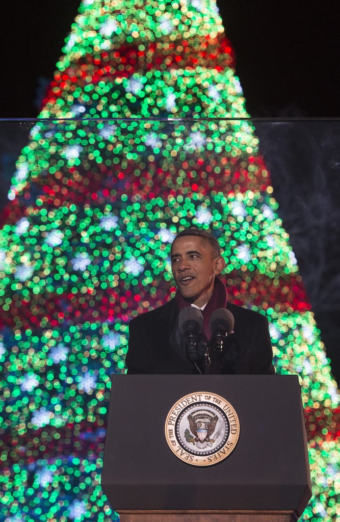 National Christmas Tree Lighting Ceremony 2014 | Pictures