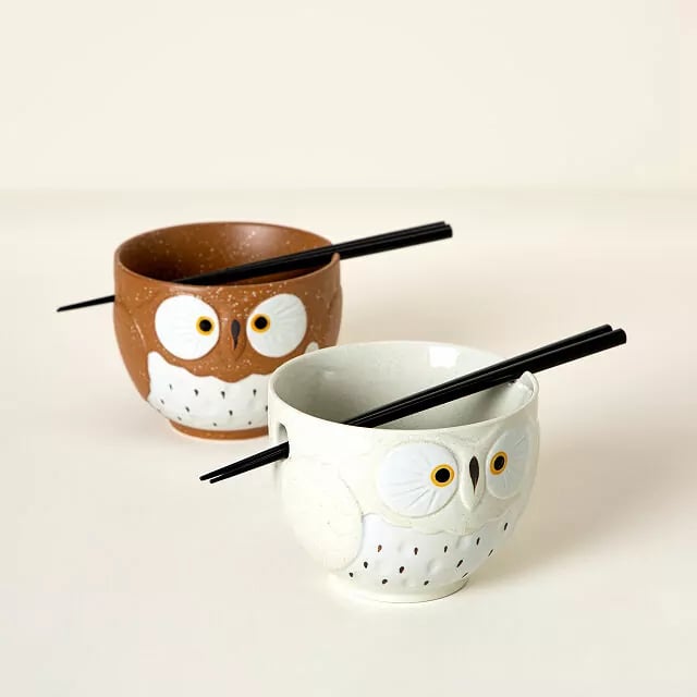 For the Ramen-Lover: Owl Soup Bowl