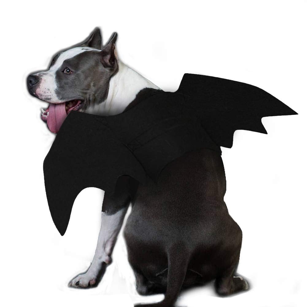 Dog Bat Costume