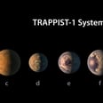 The Internet Wants to Go and Live in the 7 Planets NASA Discovered ASAP