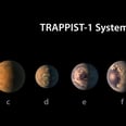 The Internet Wants to Go and Live in the 7 Planets NASA Discovered ASAP