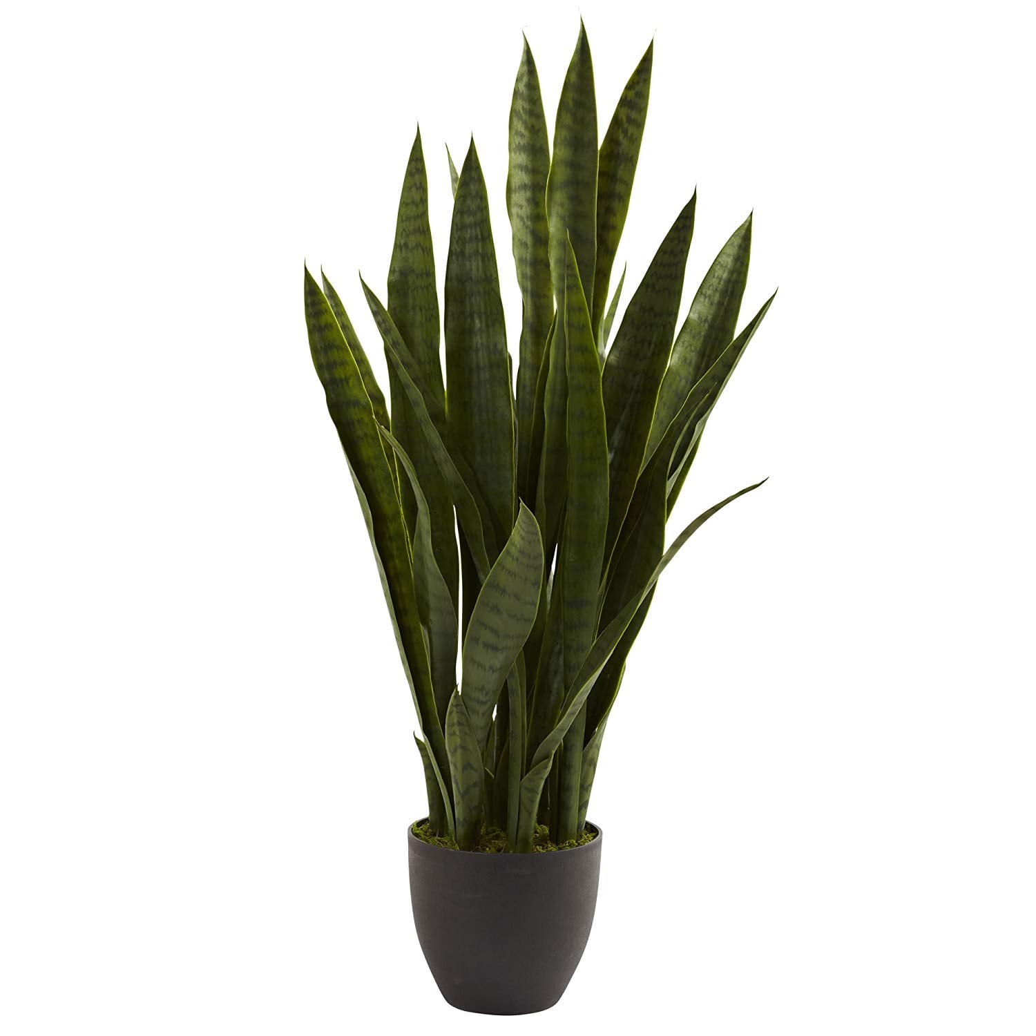 Best Fake Plants That Look Real Popsugar Home
