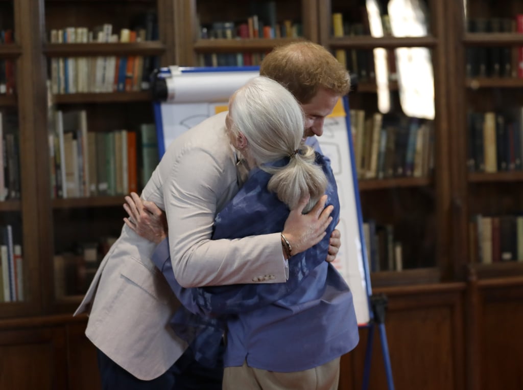 Prince Harry Meeting With Dr. Jane Goodall July 2019