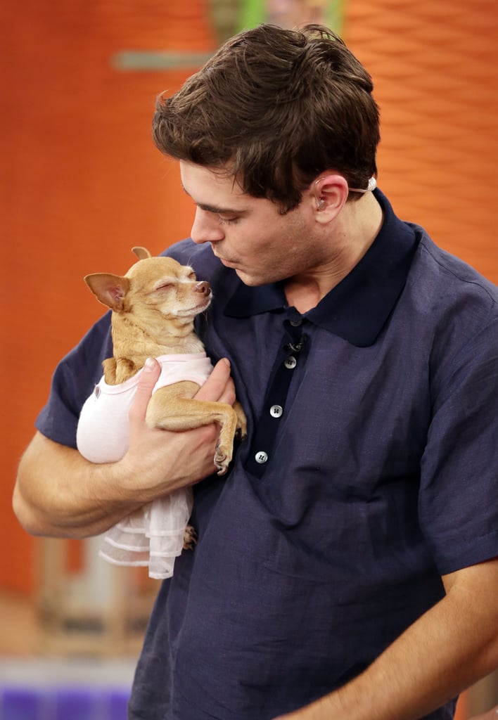 Zac Efron played with a dog in Miami while on the set of Despierta América on Friday.