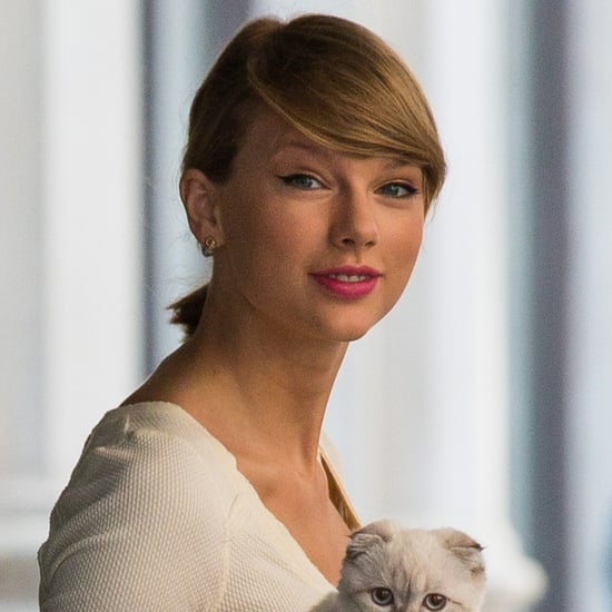 Taylor Swift Carrying Her Cat in NYC