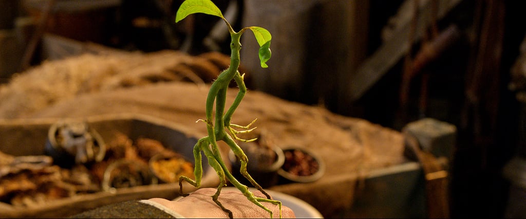 Fantastic Beasts and Where to Find Them Pictures