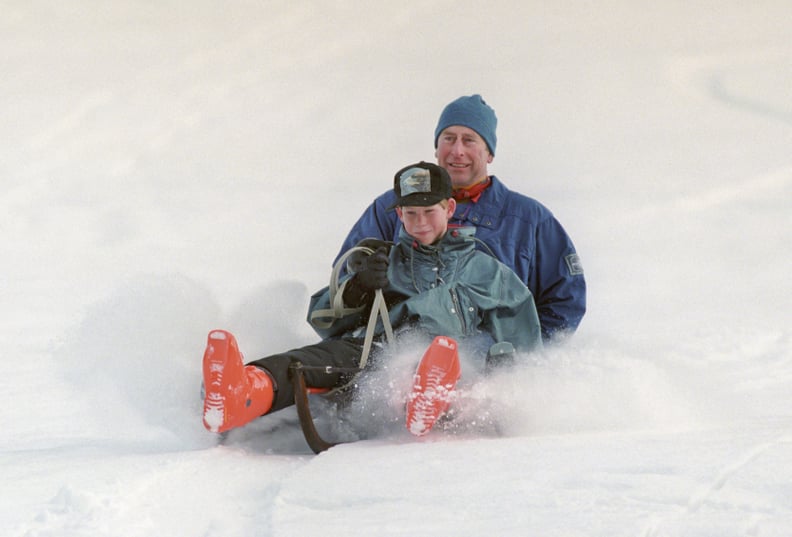 Sleds: Not Just For Kids!