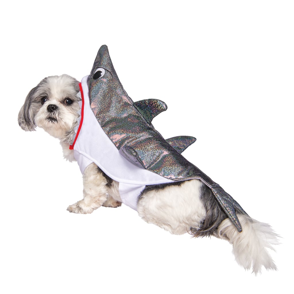 Way to Celebrate Halloween Pet Costume