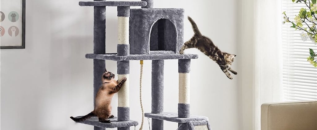 13 Modern and Stylish Cat Trees