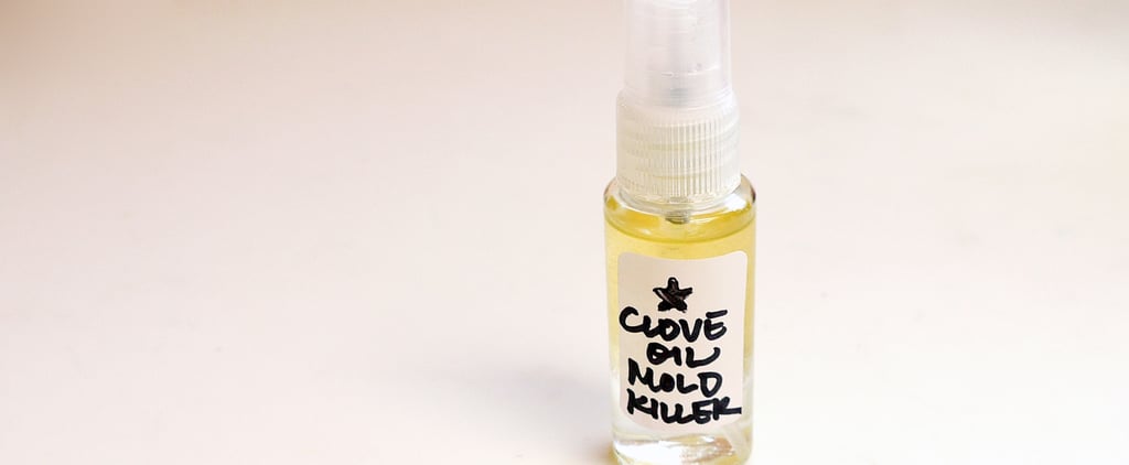 How to Make Clove Oil to Kill Mold