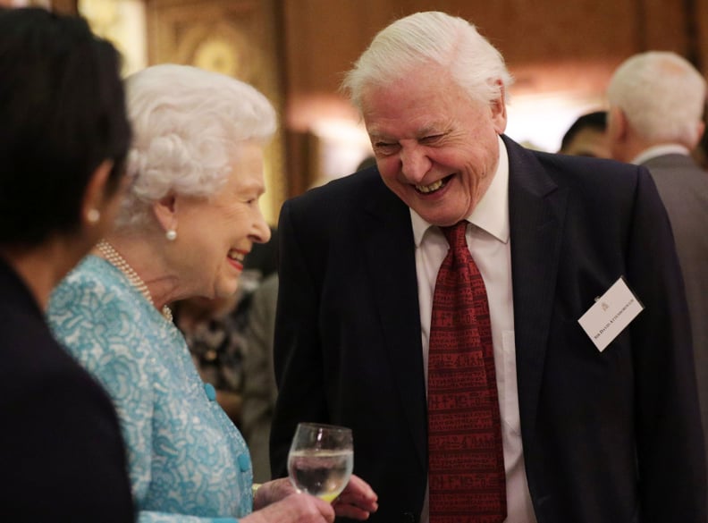 Britain's Queen Elizabeth II (L) reacts as she talks with television presenter David Attenborough during an event at Buckingham Palace in central London on November 15, 2016, to showcase forestry projects that have been dedicated to the new conservation i