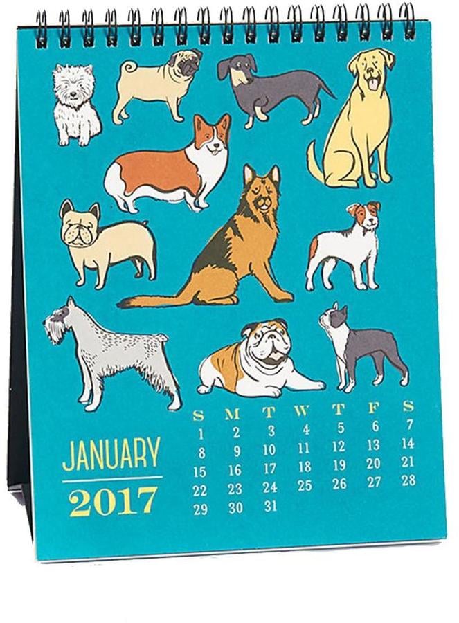 Paper Source Cat Calendar - Kore Garnette