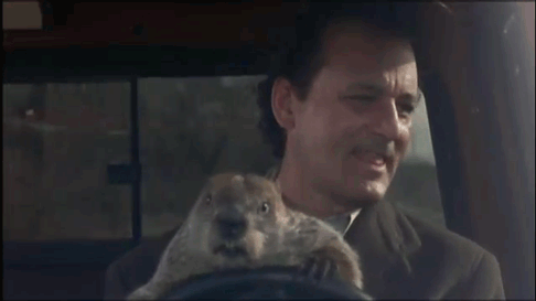 And lets Punxsutawney Phil drive.