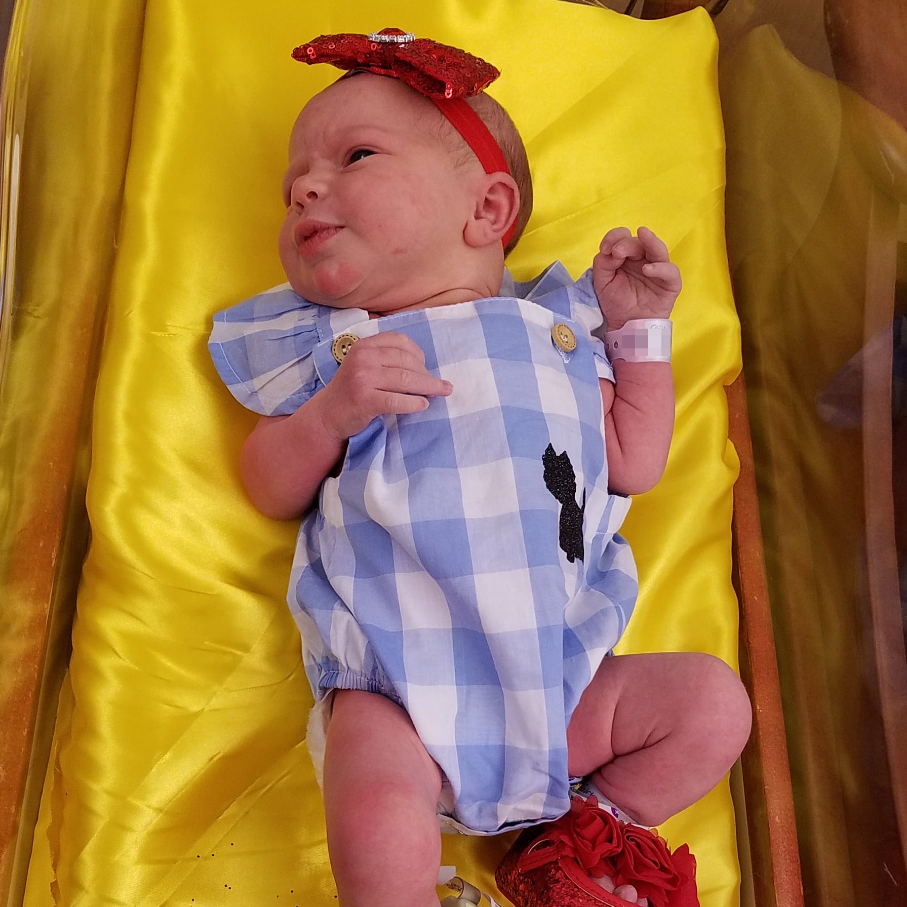 wizard of oz baby costume