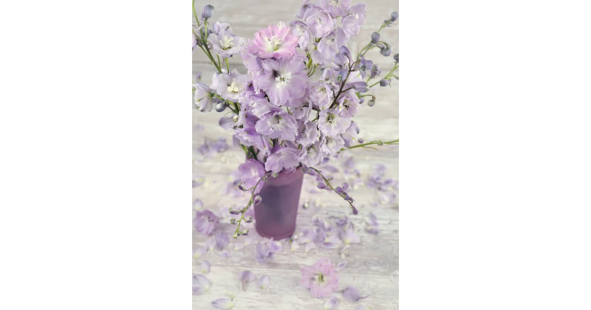 July Larkspur and Water lily What Are Birth Flowers? POPSUGAR Home