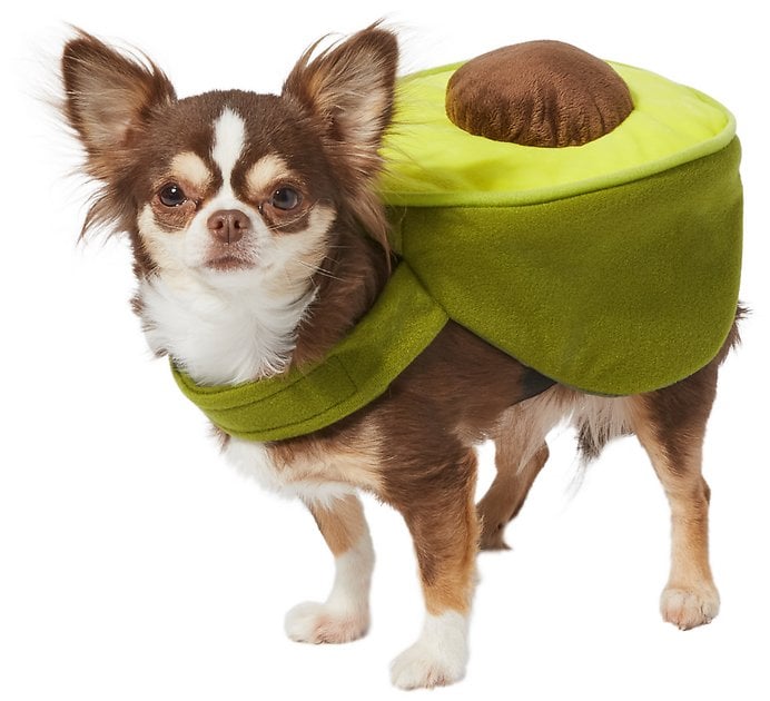 Frisco Avocado Dog & Cat Costume