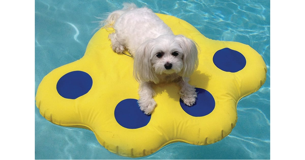 Paws Aboard Inflatable Doggy Lazy Raft For Small Dogs Best Summer Dog