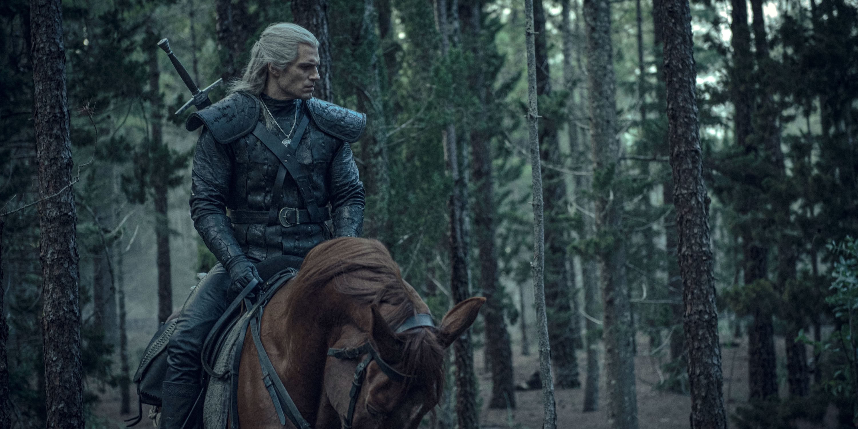 What Is the Law of Surprise in The Witcher? POPSUGAR Entertainment