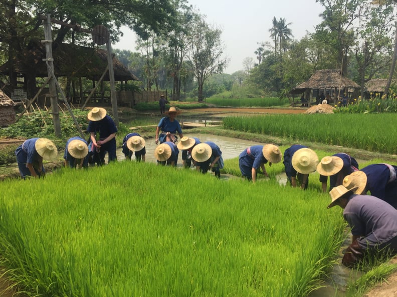 Experience the culture of Northern Thailand by getting hands-on.