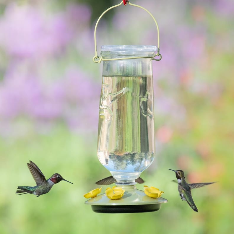 A Glass Feeder: Perky-Pet Desert Bloom Top-Fill Decorative Glass Hummingbird Feeder