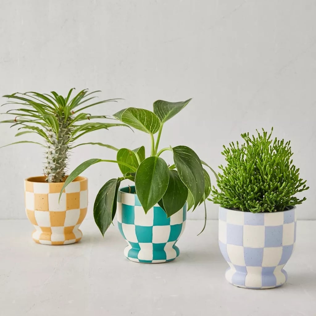 Shop the Best Planters and Vases From Urban Outfitters