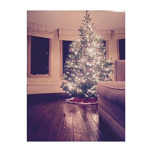 Vanessa Hudgens posted a shot of her festive tree.