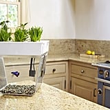 Tech-Savvy Gardening Products | POPSUGAR Home