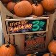 Forget the PSL! Sprint to Trader Joe's For These 21 Healthy Pumpkin Products