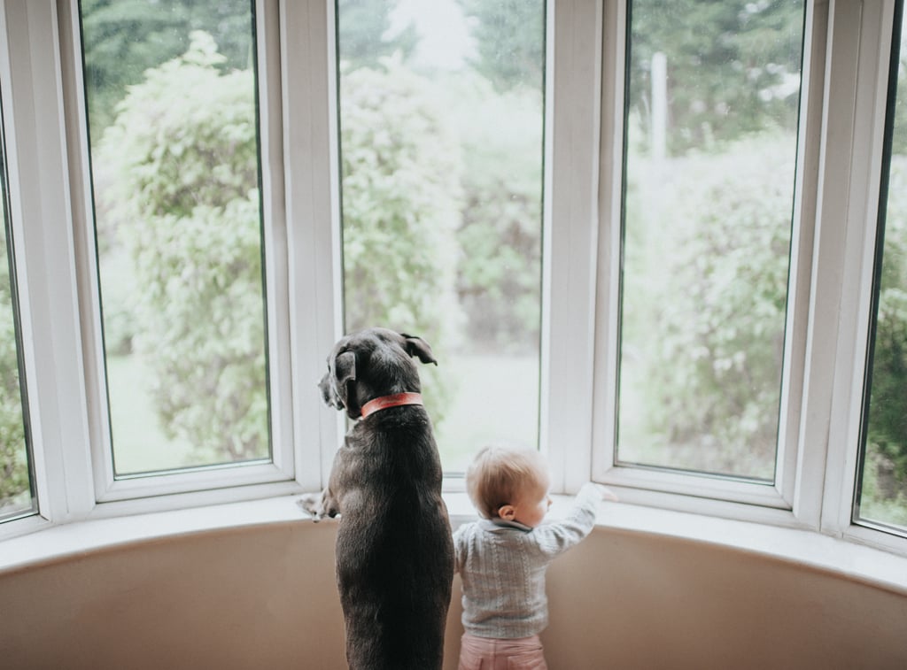 Cute Photos of Kids and Dogs