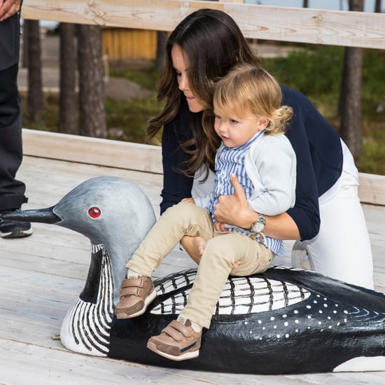 Prince Alexander's First Royal Engagement Pictures 2018