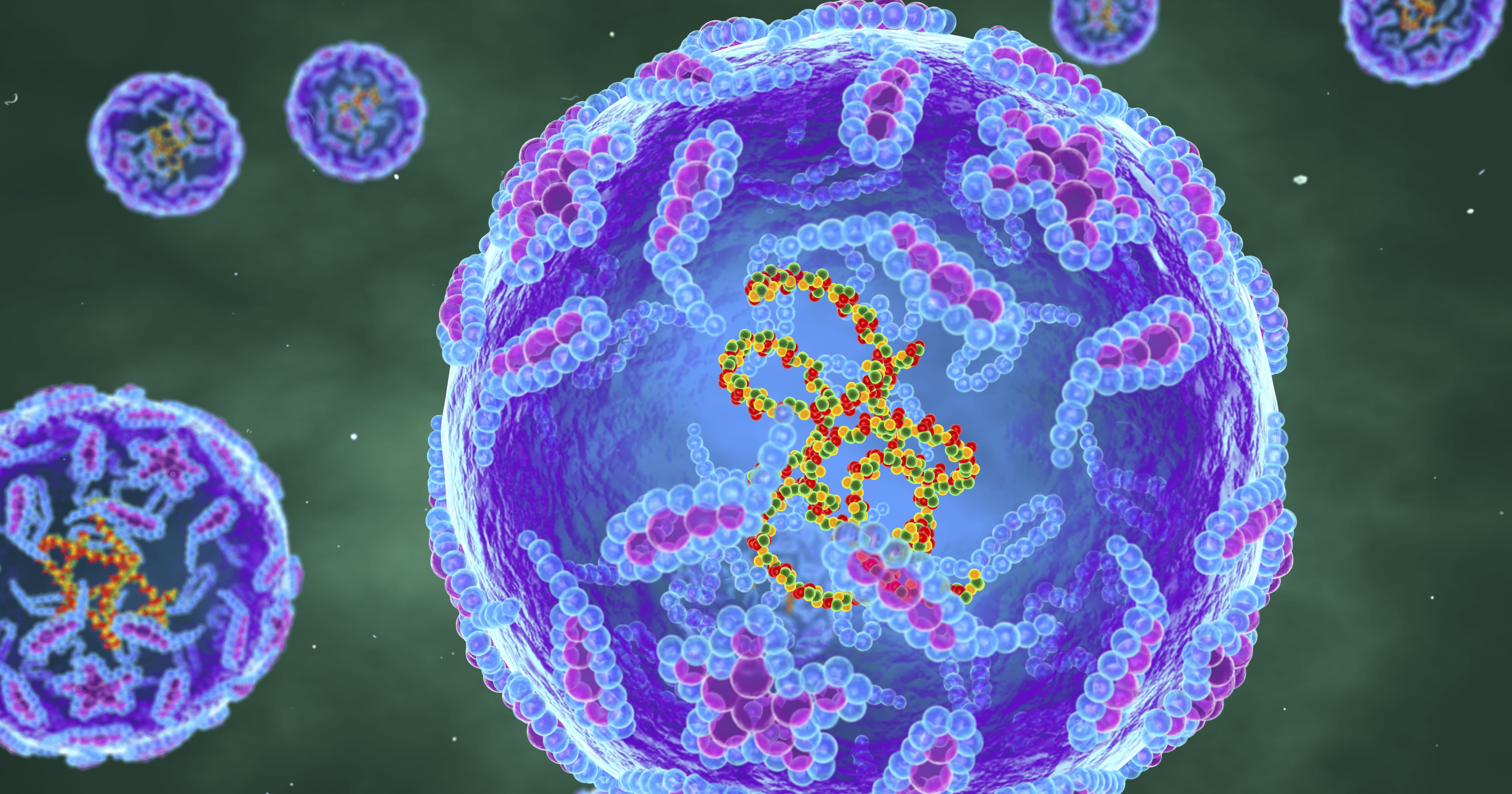 First US Polio Case in a Decade Appears in New York POPSUGAR Fitness