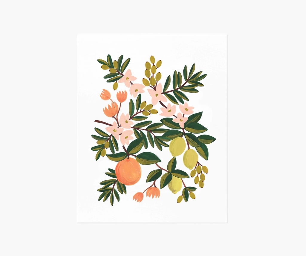 明亮,圆润的打印:步枪纸有限公司柑橘类植物的艺术打印
