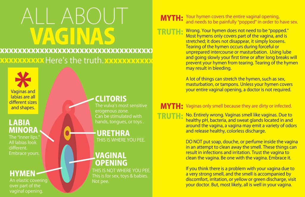 Vaginas Sex Ed Infographic Popsugar Love And Sex Photo 2 