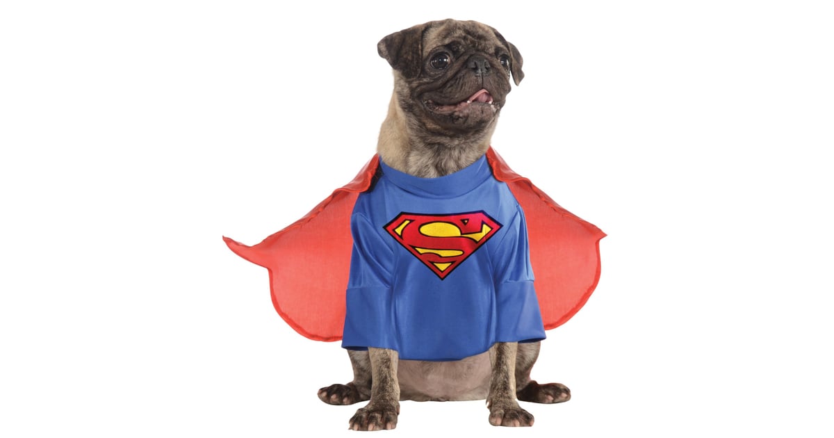 DC Comics Superman Costume | 15 Absolutely Adorable Halloween Costumes For  Dogs That I'm Legitimately Crying Over | POPSUGAR Pets Photo 14