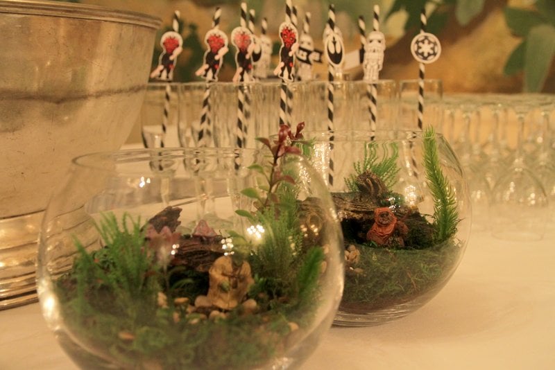 Extraterrestrial Terrariums