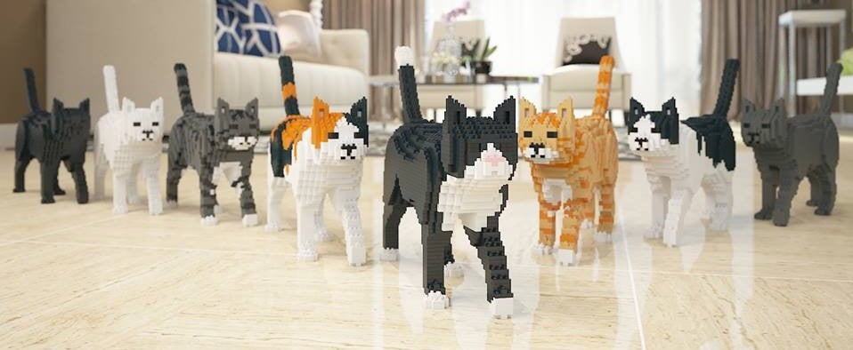 Blocks That Let You Build a Cat