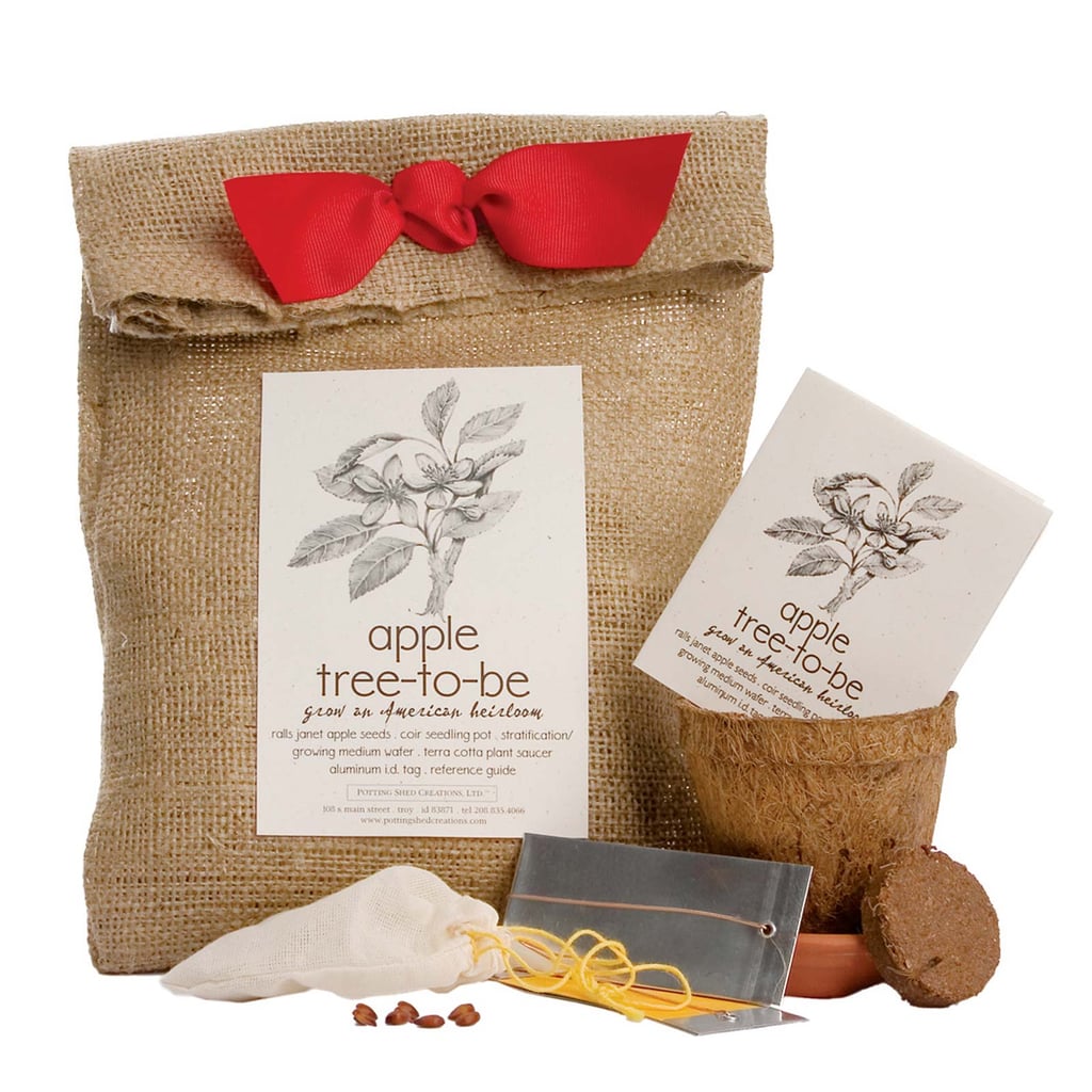 Apple Tree Planting Kit