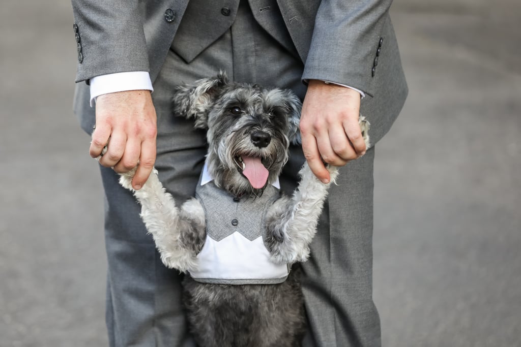 Dogs in Weddings