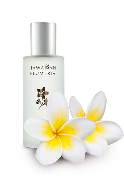 Lisa Hoffman Hawaiian Plumeria