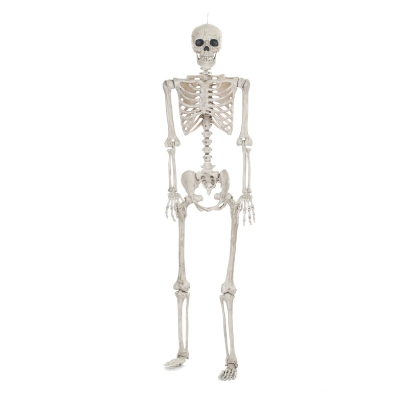 Halloween Lifesize Posable Skeleton